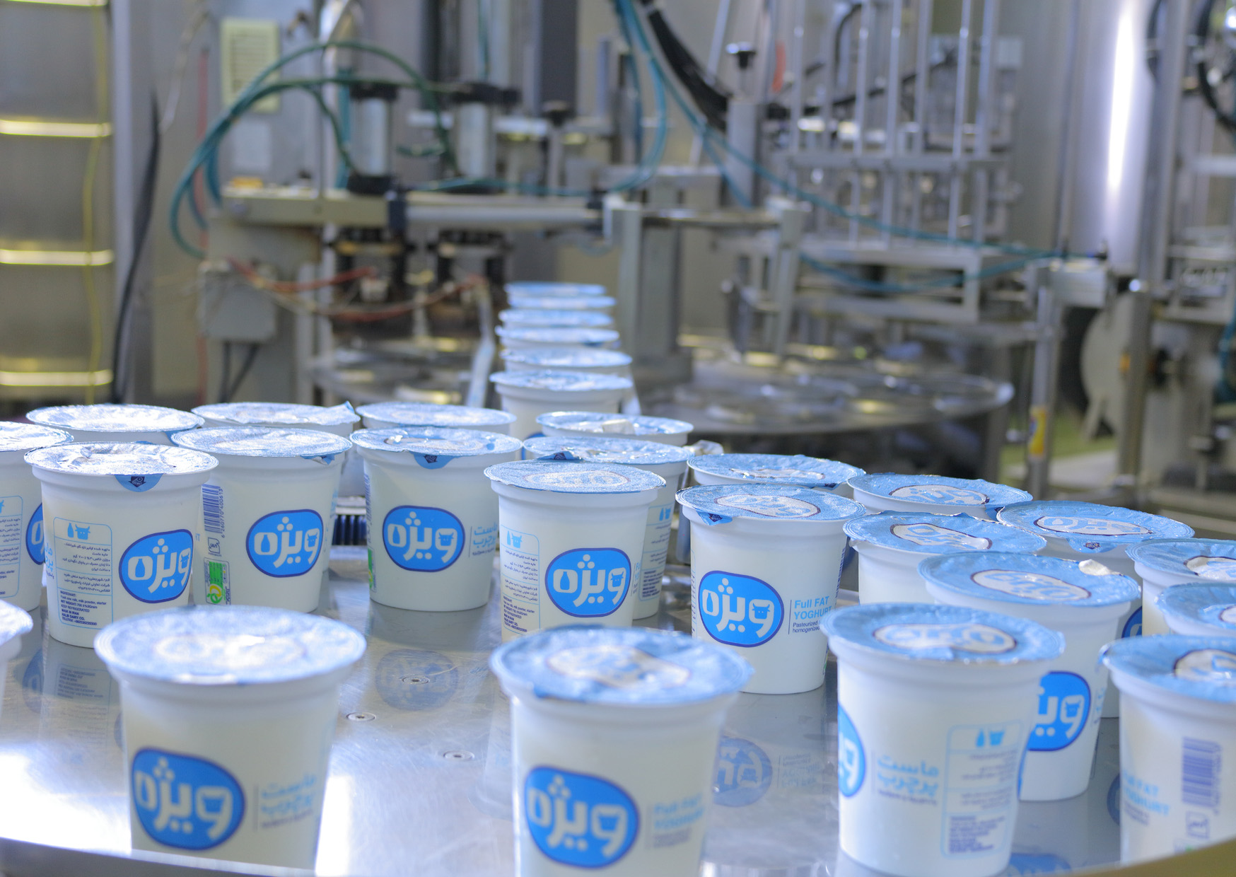 کارخانه حلیب